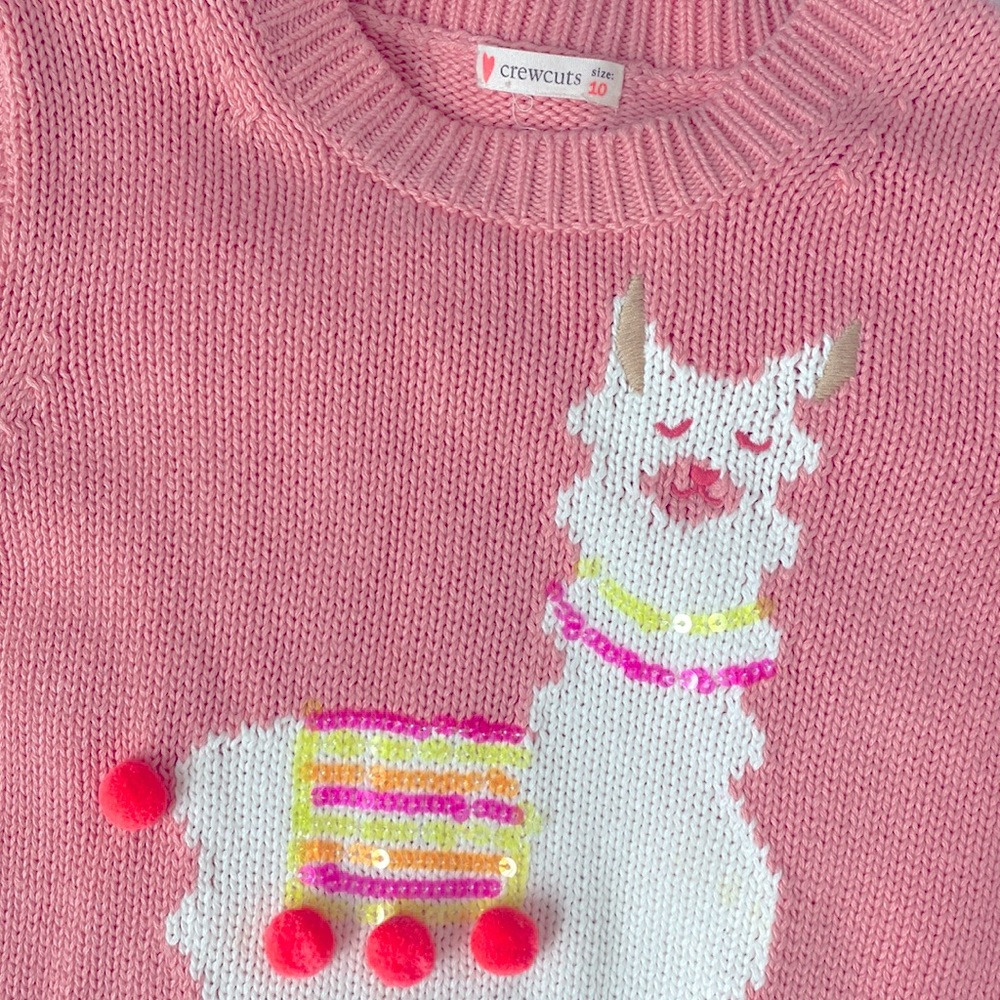 Crewcuts sweater girls size 10